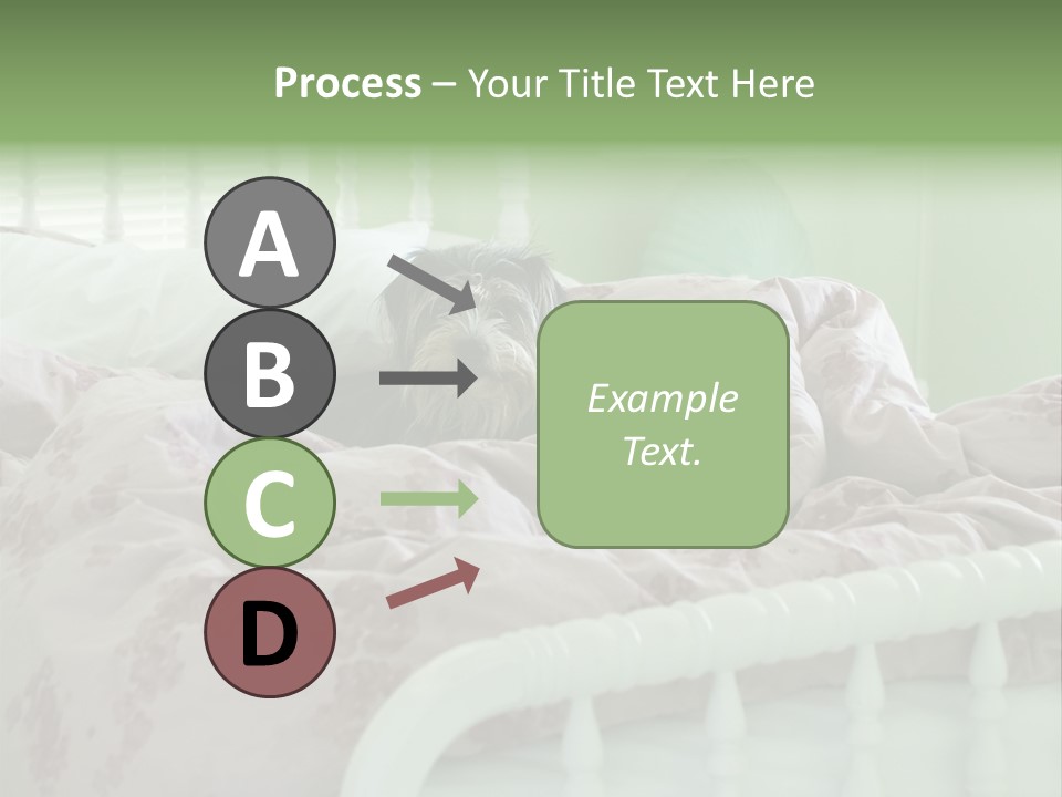 Dog In Bed PowerPoint Template