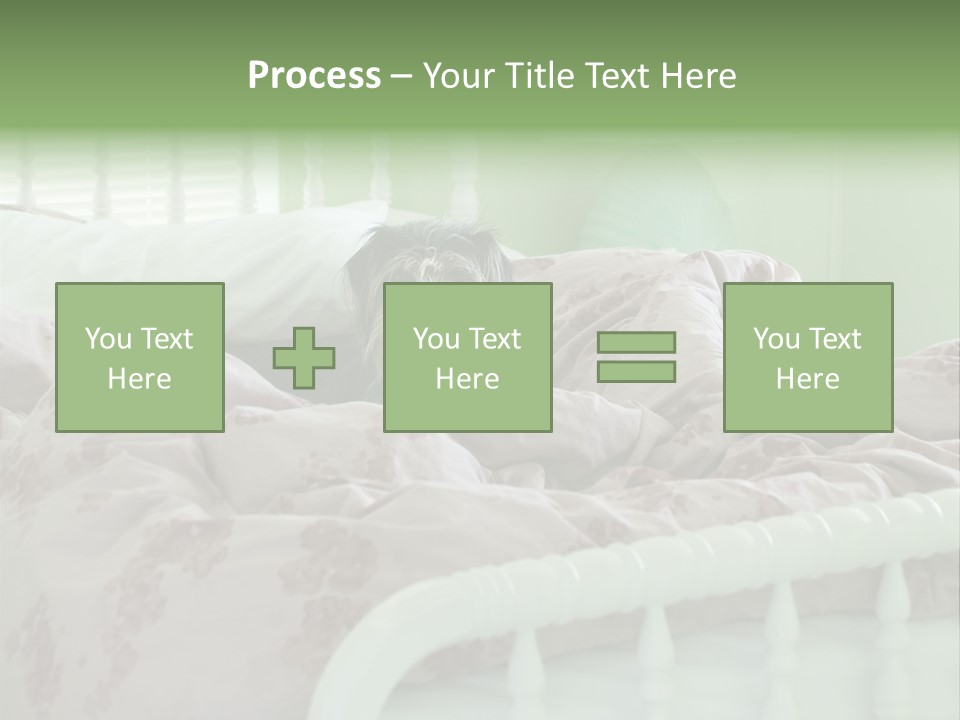 Dog In Bed PowerPoint Template