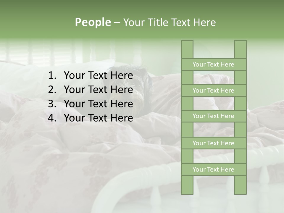 Dog In Bed PowerPoint Template