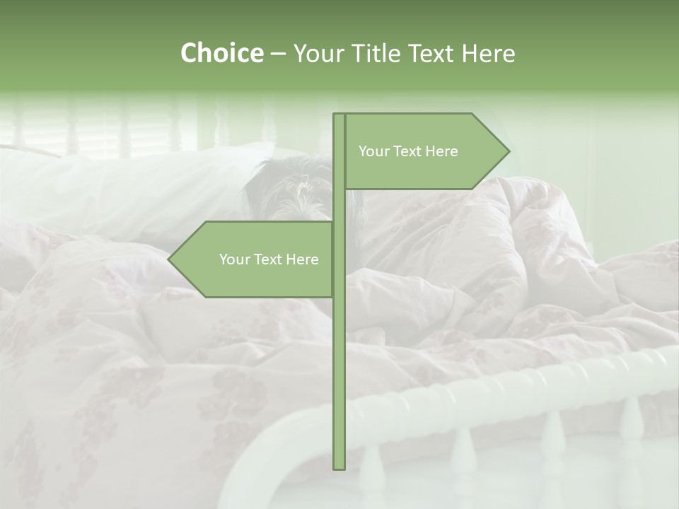 Dog In Bed PowerPoint Template