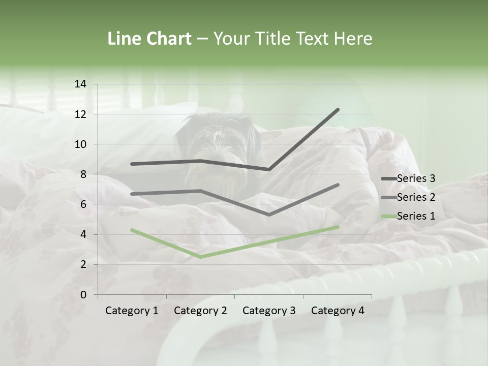 Dog In Bed PowerPoint Template