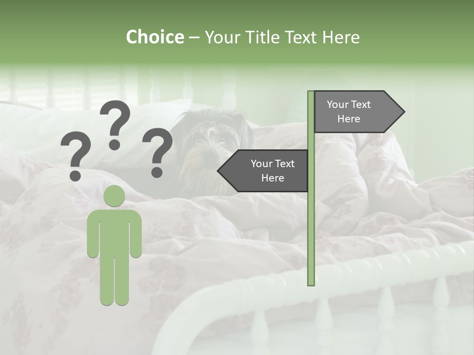 Dog In Bed PowerPoint Template