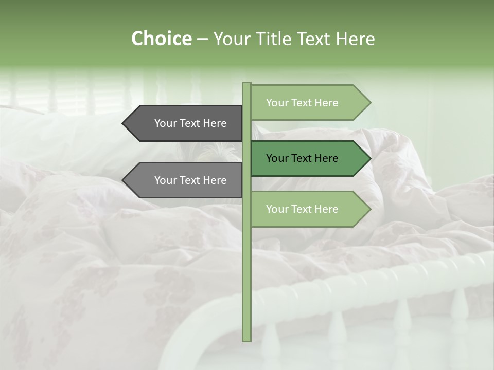 Dog In Bed PowerPoint Template