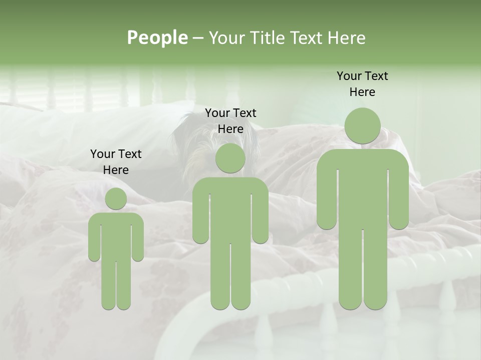 Dog In Bed PowerPoint Template