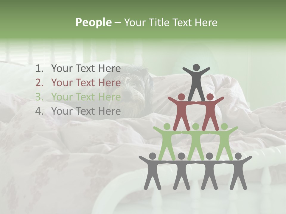 Dog In Bed PowerPoint Template