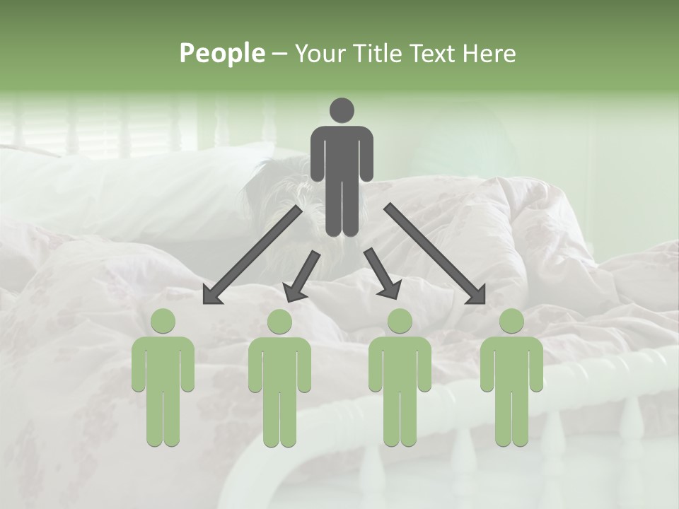 Dog In Bed PowerPoint Template