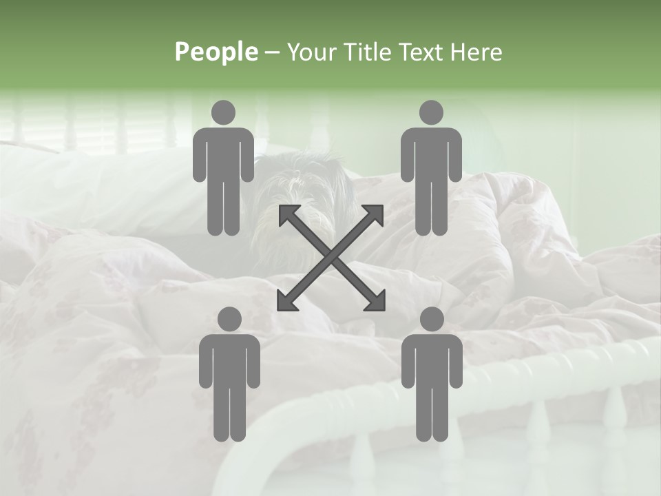 Dog In Bed PowerPoint Template