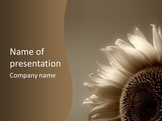 A Sunflower Is Shown With A Brown Background PowerPoint Template