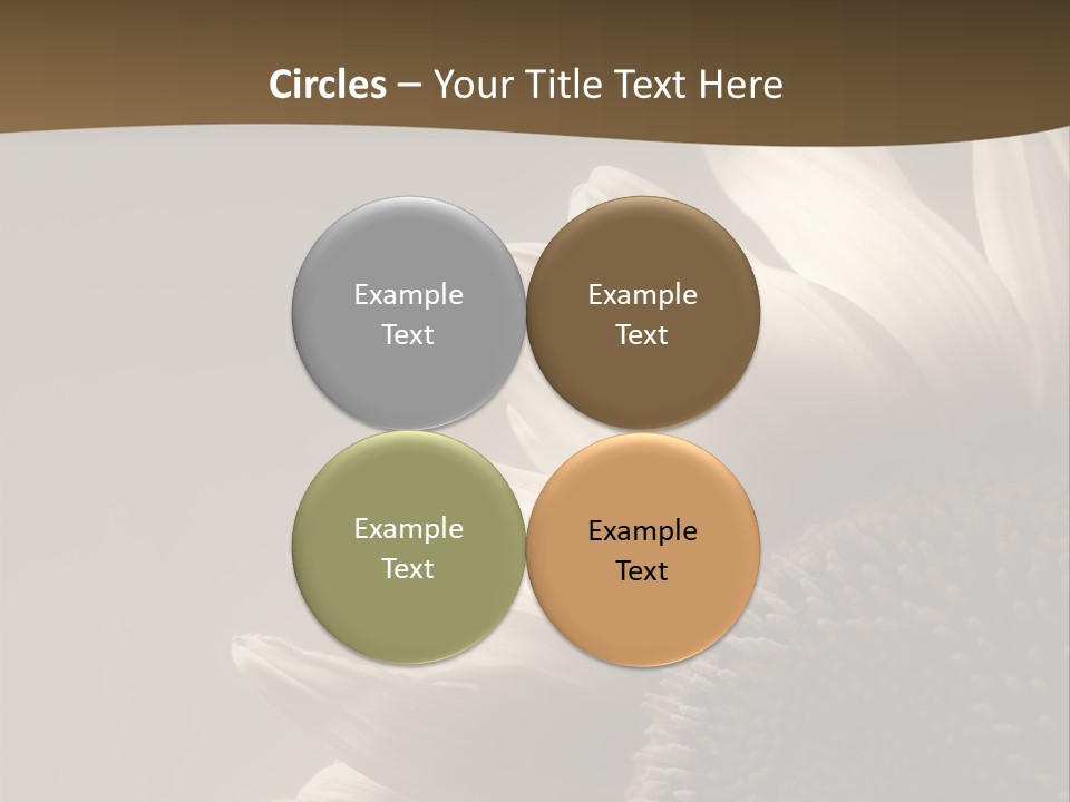 A Sunflower Is Shown With A Brown Background PowerPoint Template