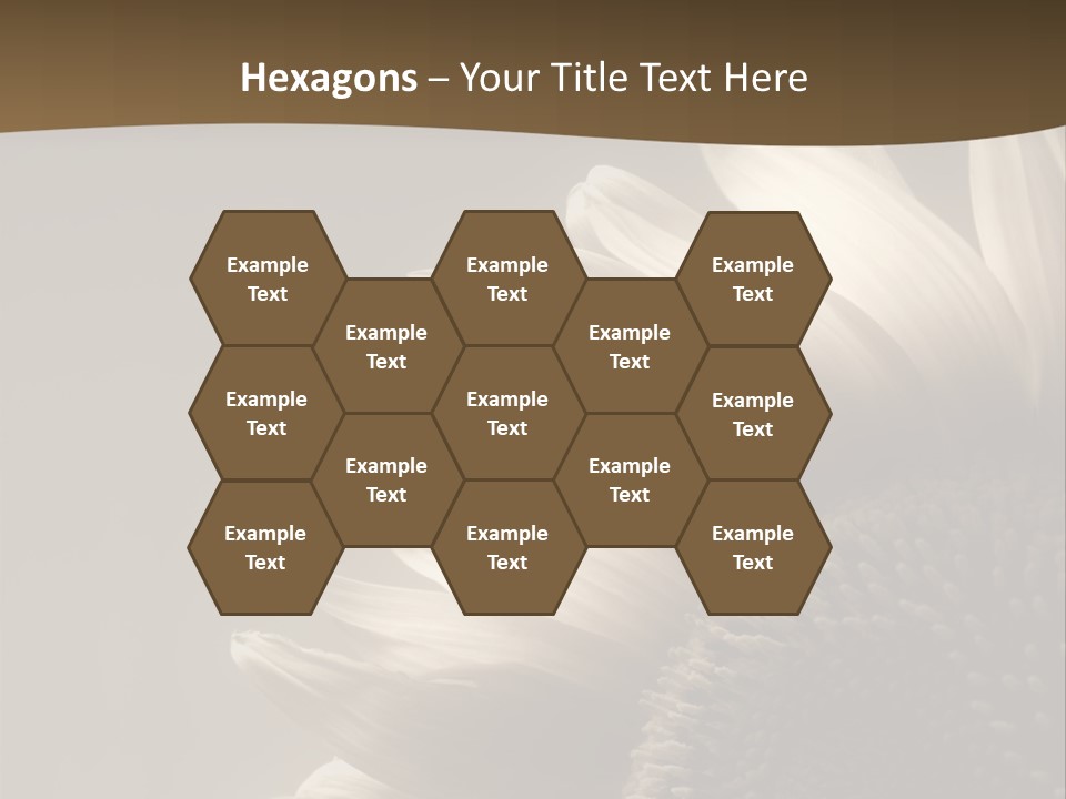 A Sunflower Is Shown With A Brown Background PowerPoint Template