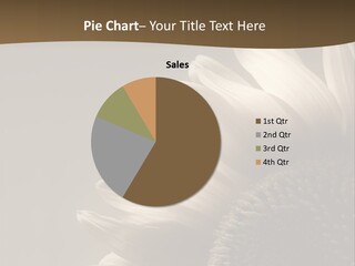 A Sunflower Is Shown With A Brown Background PowerPoint Template