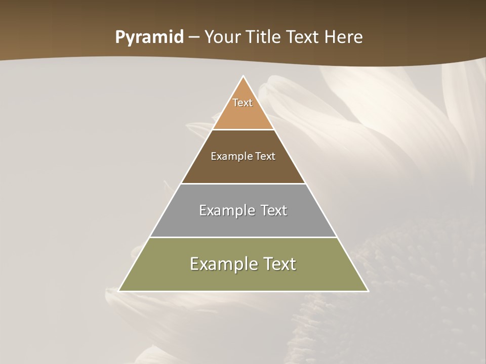 A Sunflower Is Shown With A Brown Background PowerPoint Template