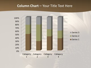 A Sunflower Is Shown With A Brown Background PowerPoint Template