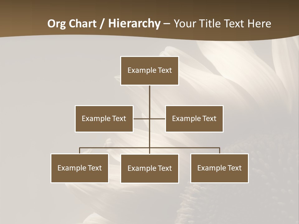 A Sunflower Is Shown With A Brown Background PowerPoint Template