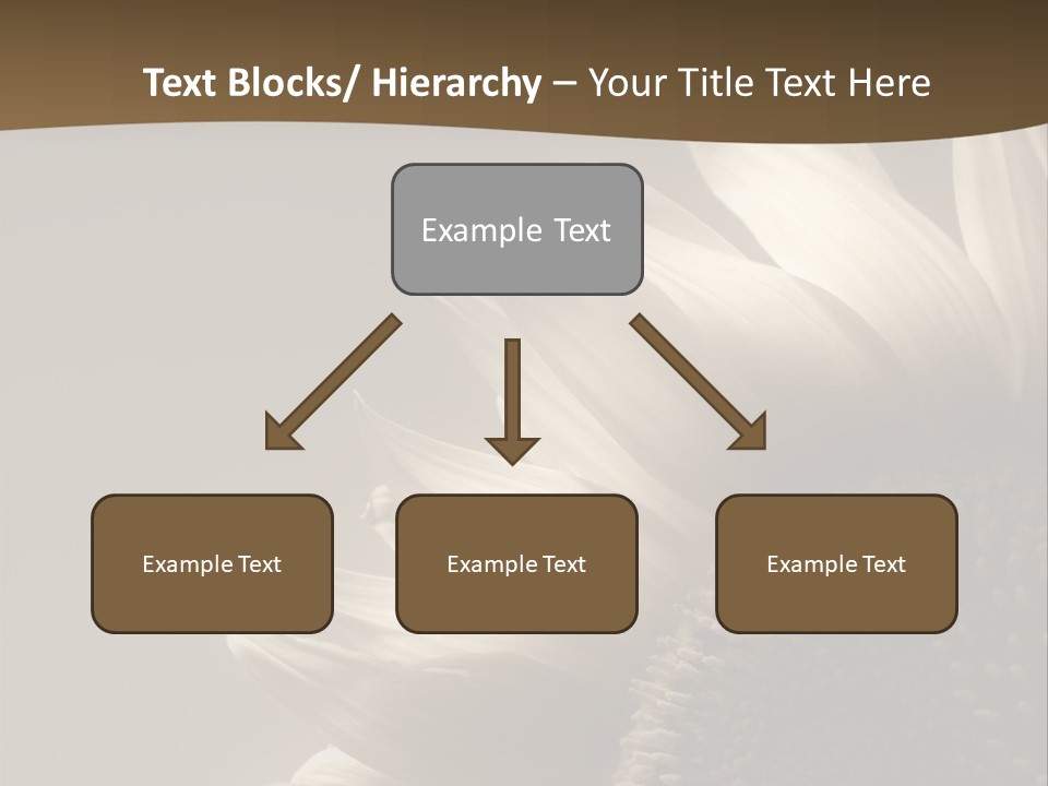 A Sunflower Is Shown With A Brown Background PowerPoint Template