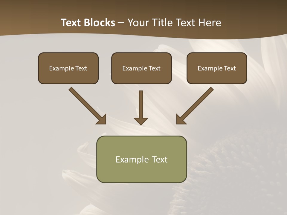 A Sunflower Is Shown With A Brown Background PowerPoint Template
