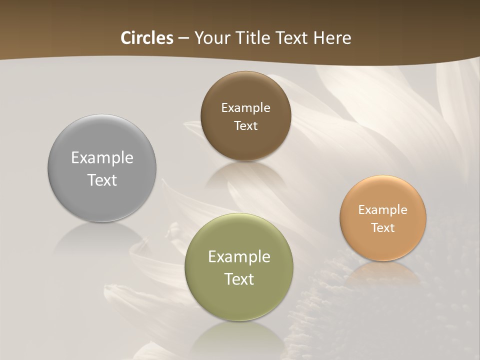 A Sunflower Is Shown With A Brown Background PowerPoint Template