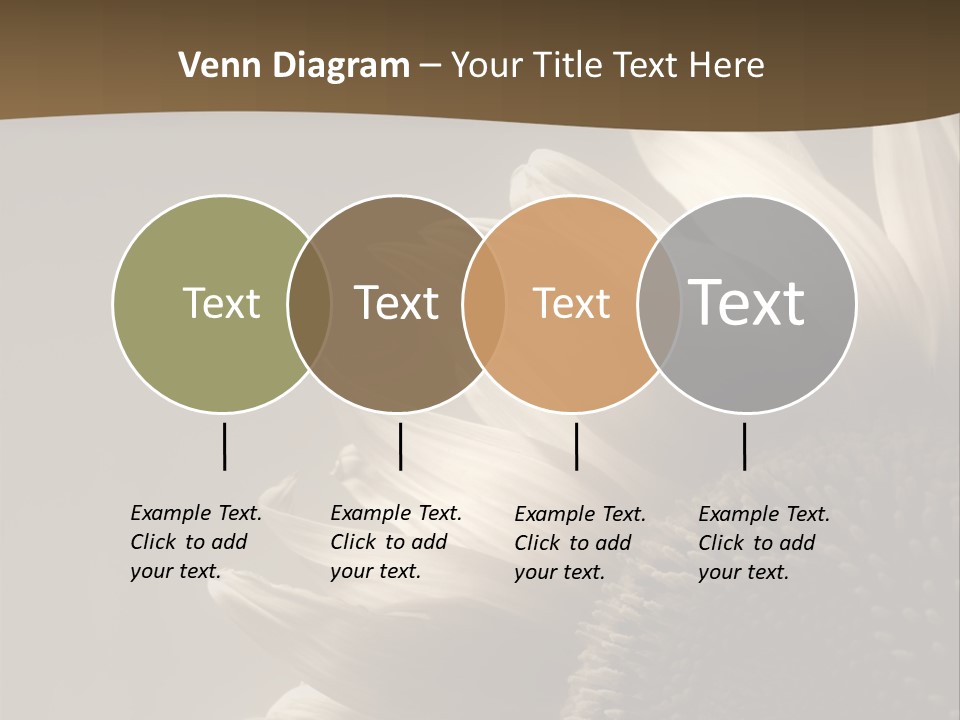 A Sunflower Is Shown With A Brown Background PowerPoint Template