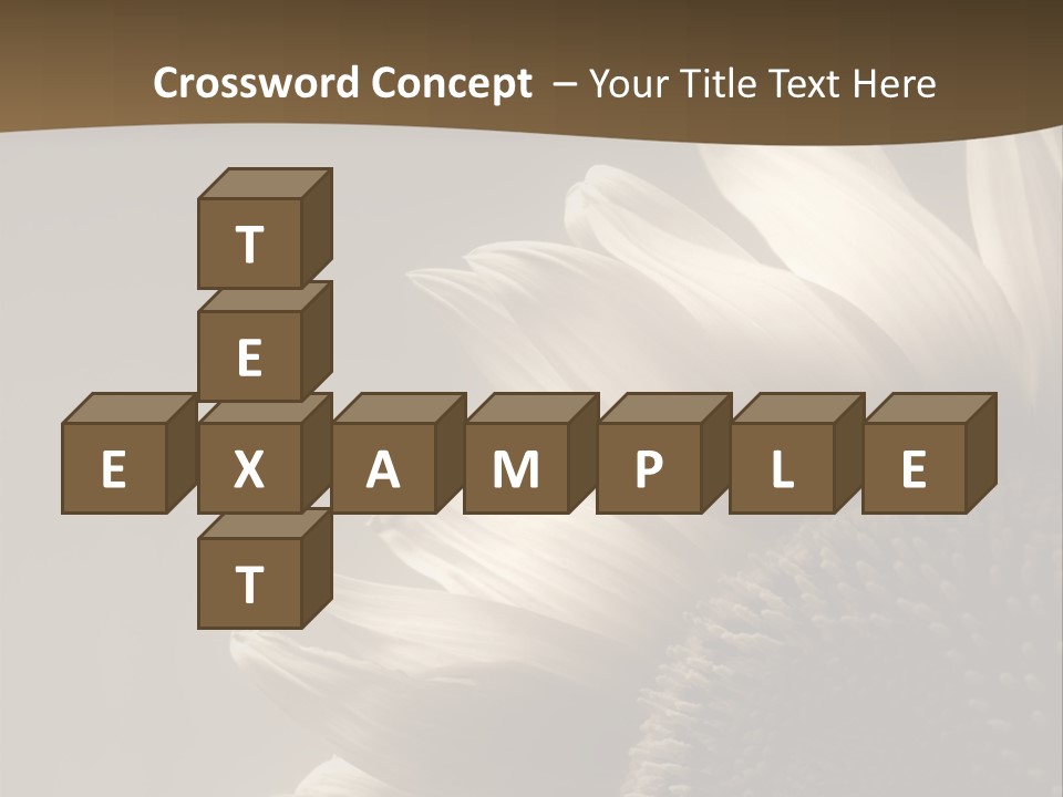 A Sunflower Is Shown With A Brown Background PowerPoint Template