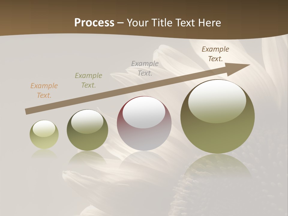 A Sunflower Is Shown With A Brown Background PowerPoint Template