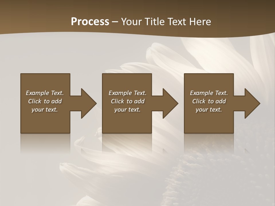 A Sunflower Is Shown With A Brown Background PowerPoint Template