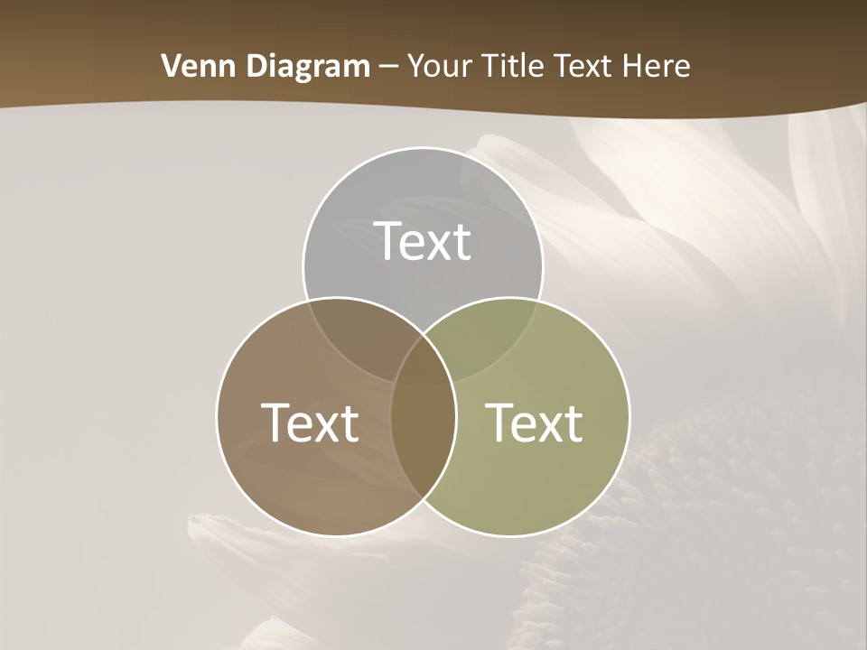 A Sunflower Is Shown With A Brown Background PowerPoint Template