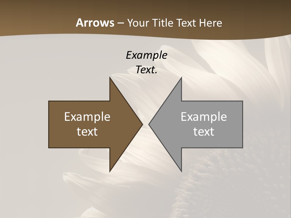 A Sunflower Is Shown With A Brown Background PowerPoint Template