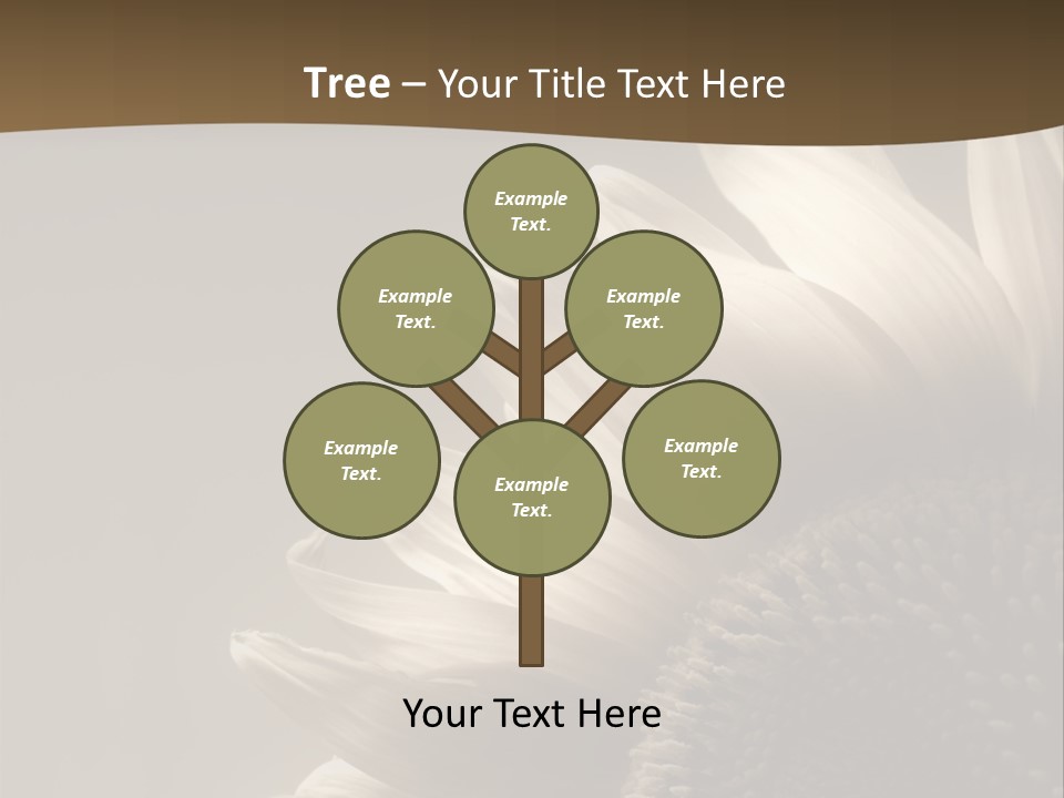 A Sunflower Is Shown With A Brown Background PowerPoint Template