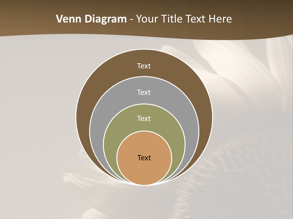 A Sunflower Is Shown With A Brown Background PowerPoint Template
