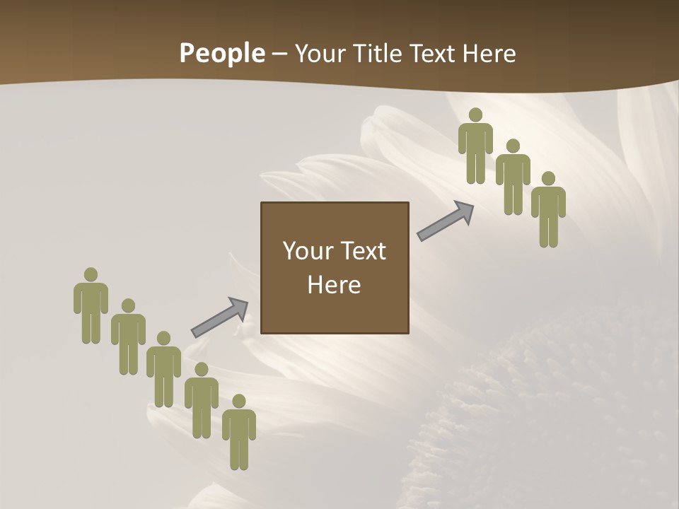 A Sunflower Is Shown With A Brown Background PowerPoint Template