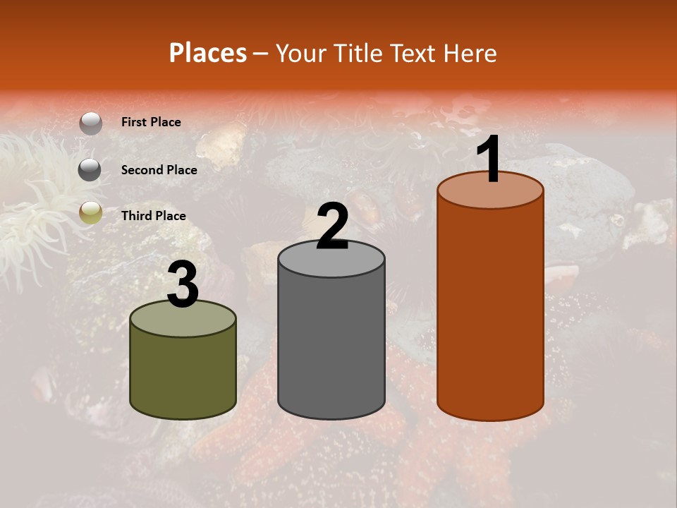 Couple Walking On Beach Arm In Arm Smiling PowerPoint Template