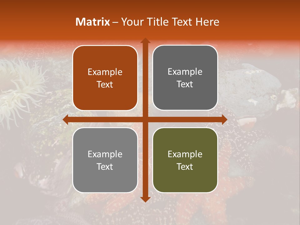 Couple Walking On Beach Arm In Arm Smiling PowerPoint Template