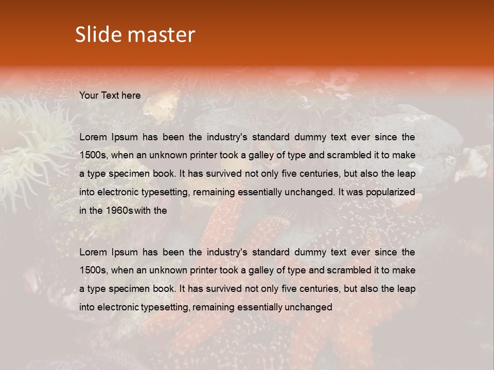 Couple Walking On Beach Arm In Arm Smiling PowerPoint Template