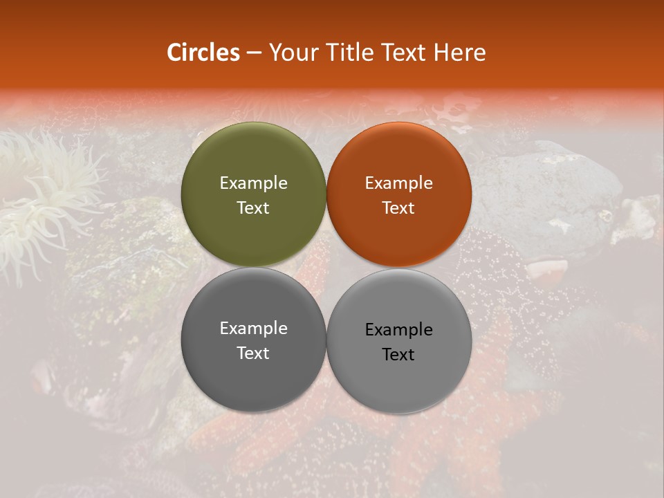 Couple Walking On Beach Arm In Arm Smiling PowerPoint Template