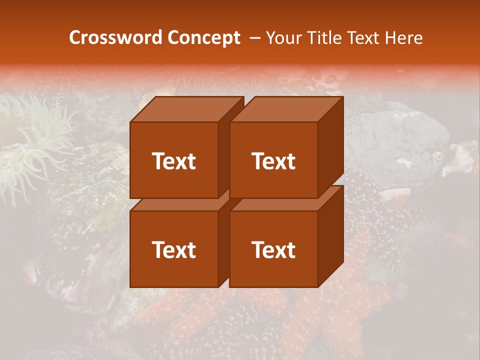 Couple Walking On Beach Arm In Arm Smiling PowerPoint Template