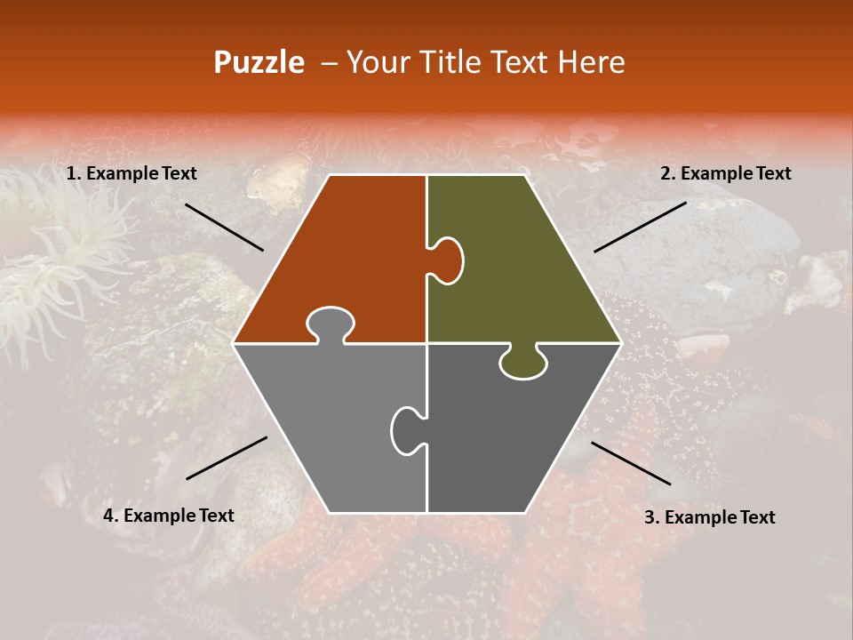 Couple Walking On Beach Arm In Arm Smiling PowerPoint Template