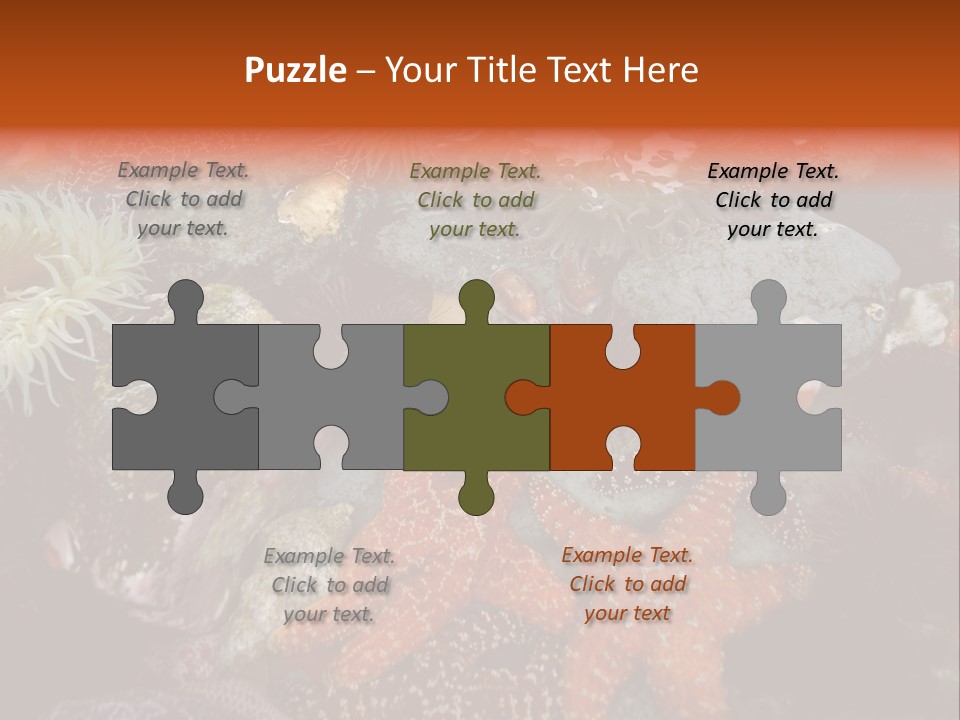 Couple Walking On Beach Arm In Arm Smiling PowerPoint Template