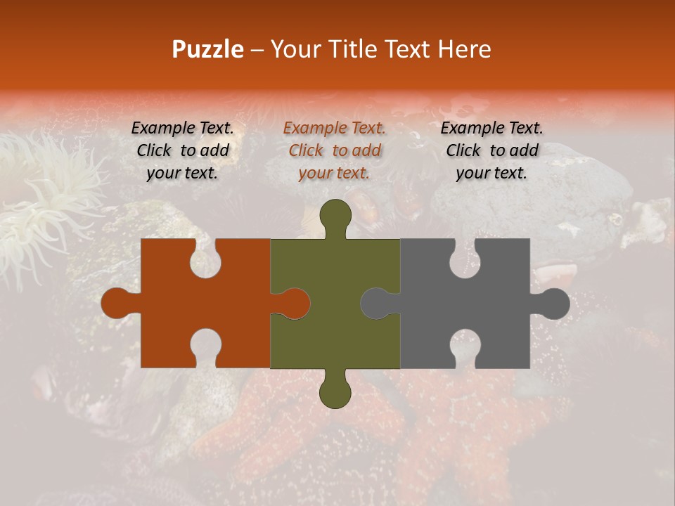 Couple Walking On Beach Arm In Arm Smiling PowerPoint Template