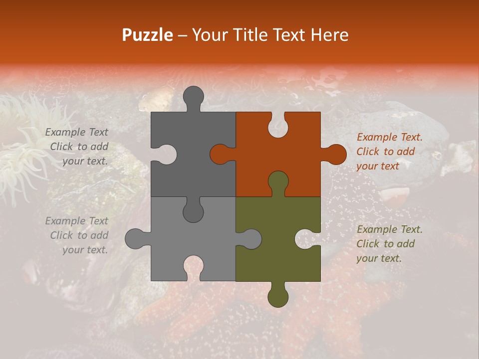 Couple Walking On Beach Arm In Arm Smiling PowerPoint Template