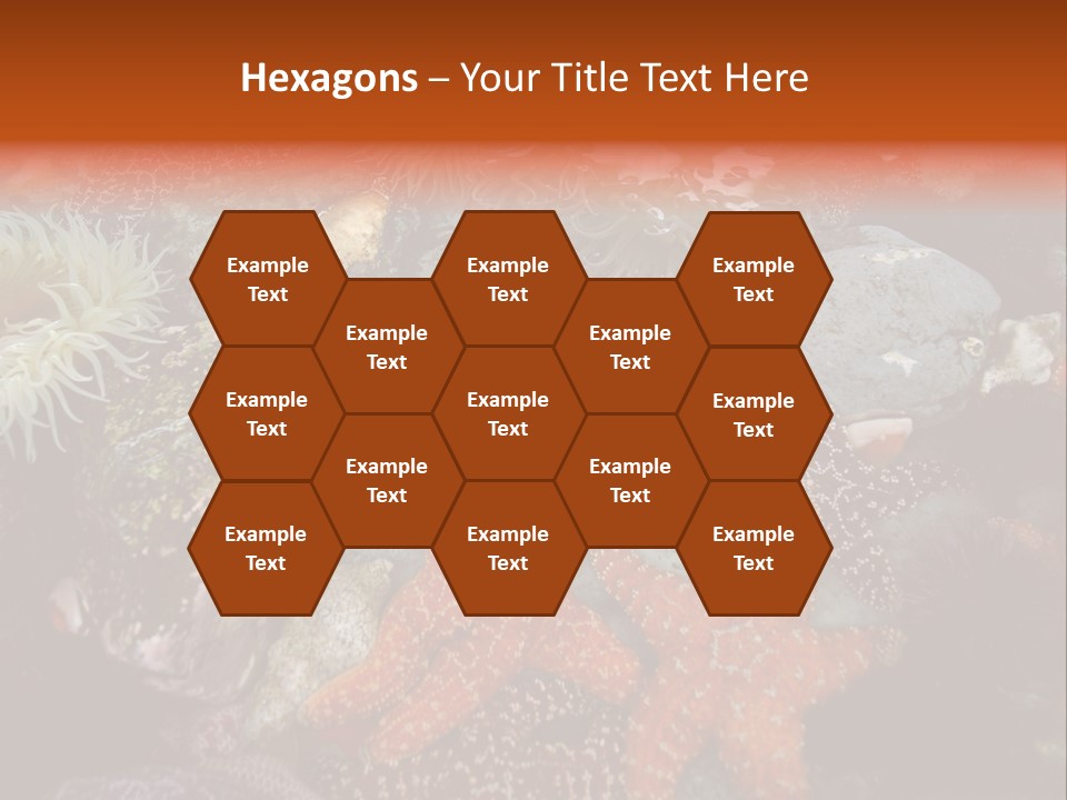 Couple Walking On Beach Arm In Arm Smiling PowerPoint Template