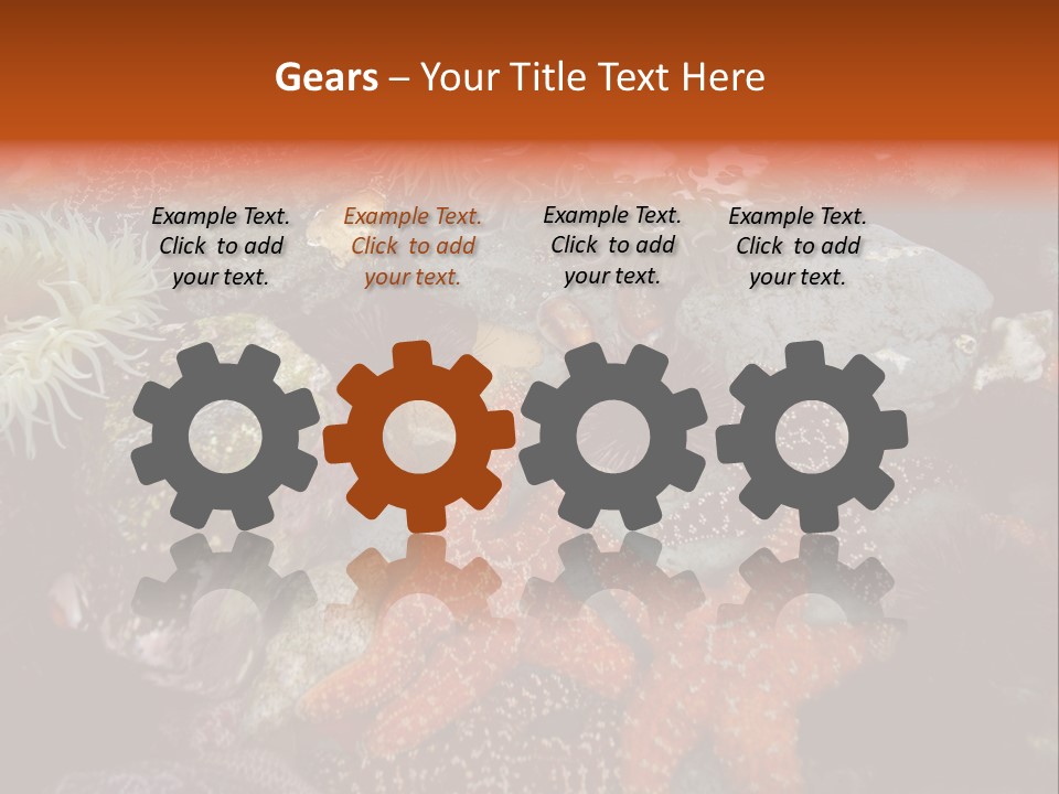 Couple Walking On Beach Arm In Arm Smiling PowerPoint Template