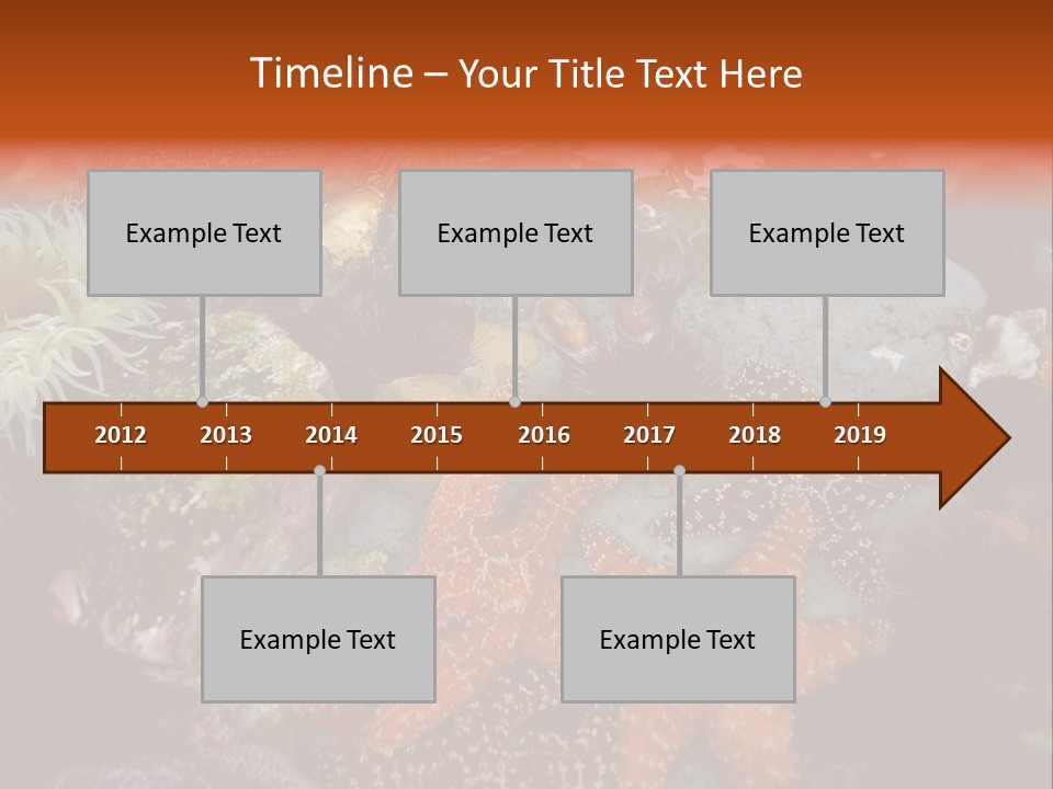 Couple Walking On Beach Arm In Arm Smiling PowerPoint Template