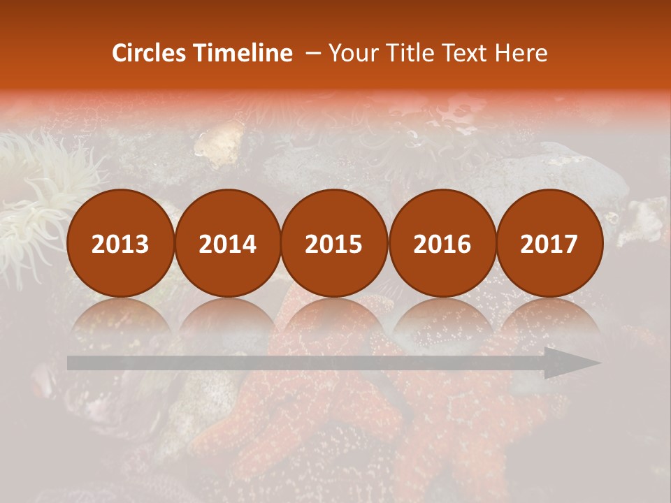 Couple Walking On Beach Arm In Arm Smiling PowerPoint Template