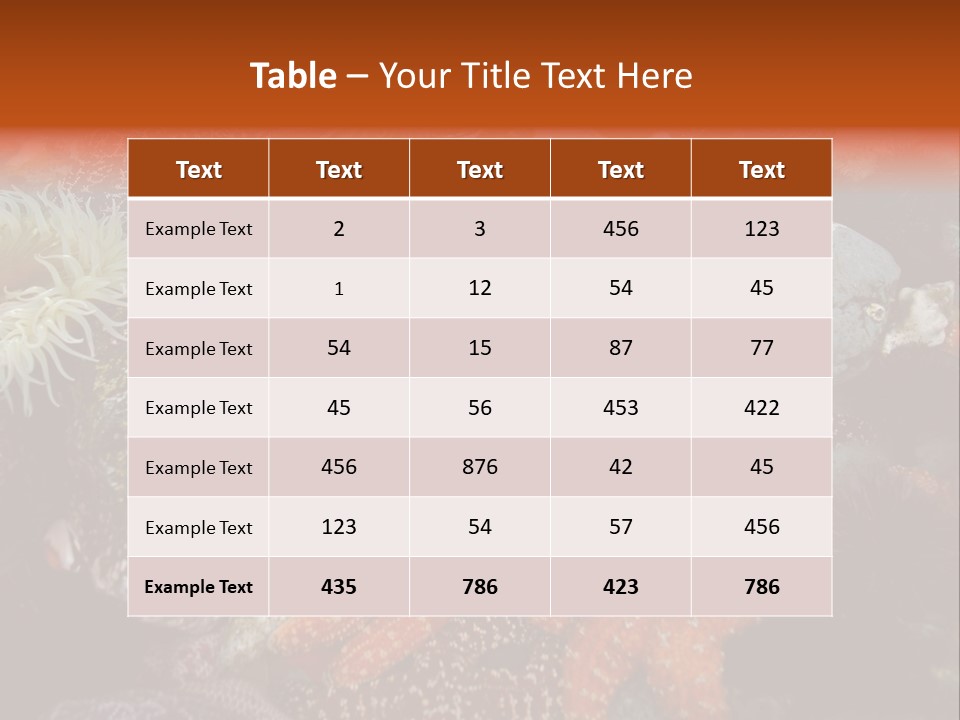 Couple Walking On Beach Arm In Arm Smiling PowerPoint Template