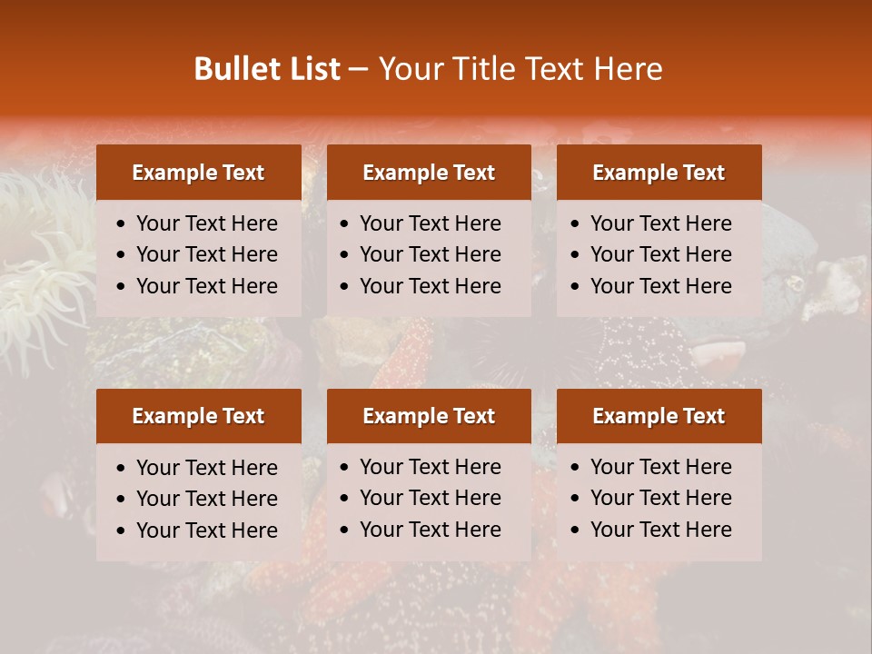 Couple Walking On Beach Arm In Arm Smiling PowerPoint Template