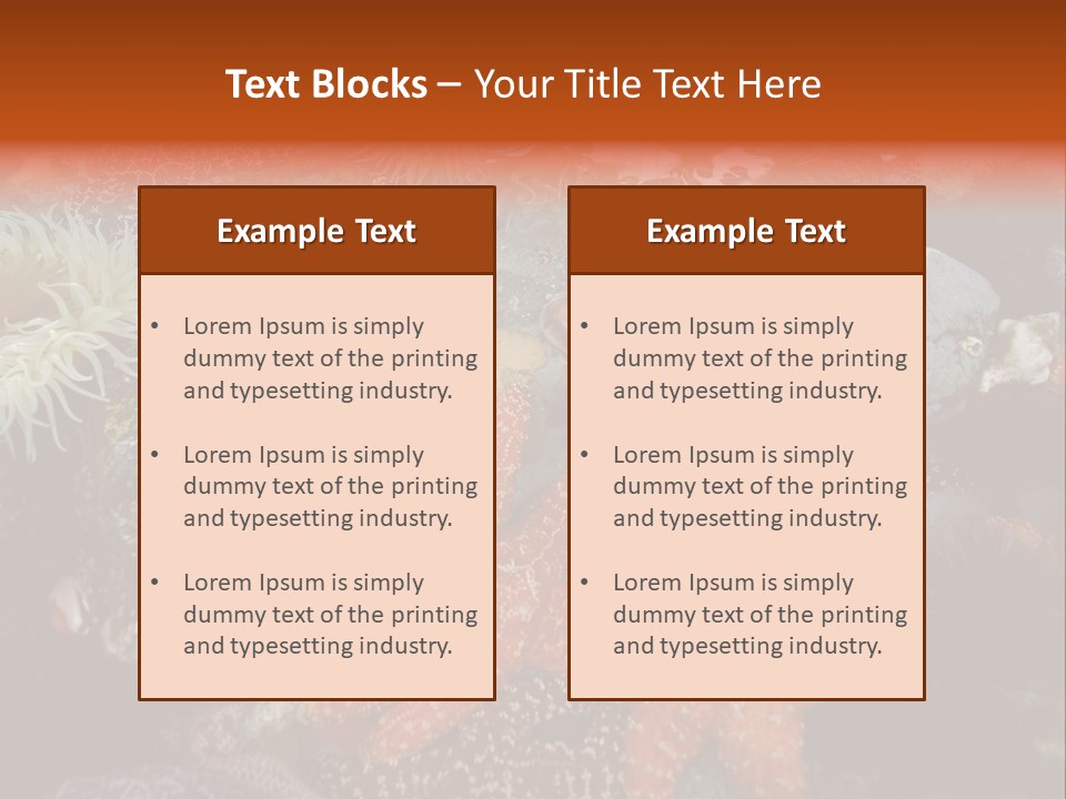 Couple Walking On Beach Arm In Arm Smiling PowerPoint Template