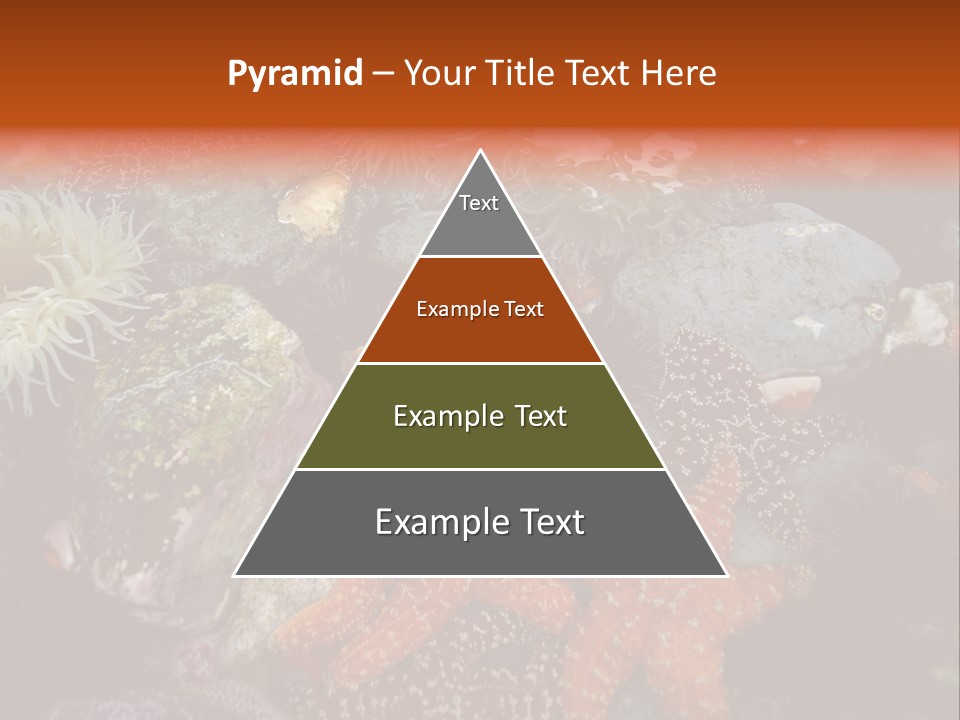 Couple Walking On Beach Arm In Arm Smiling PowerPoint Template