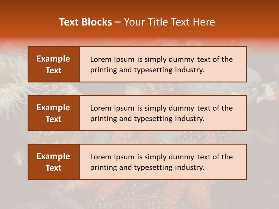 Couple Walking On Beach Arm In Arm Smiling PowerPoint Template