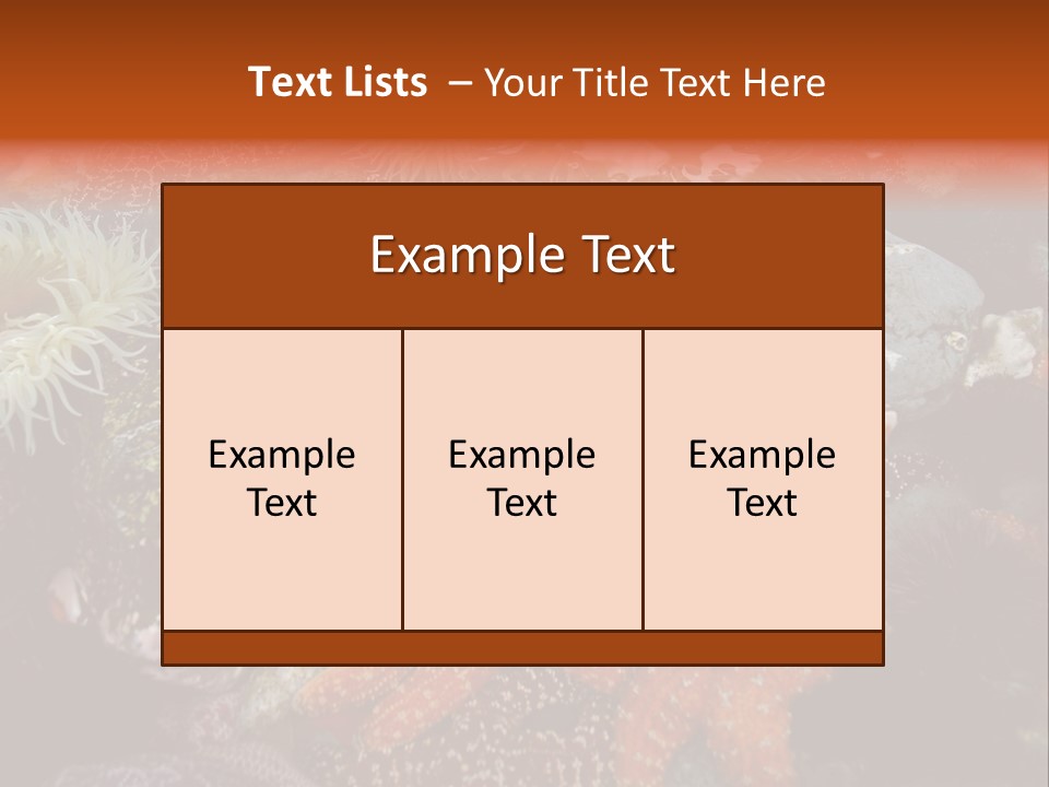 Couple Walking On Beach Arm In Arm Smiling PowerPoint Template