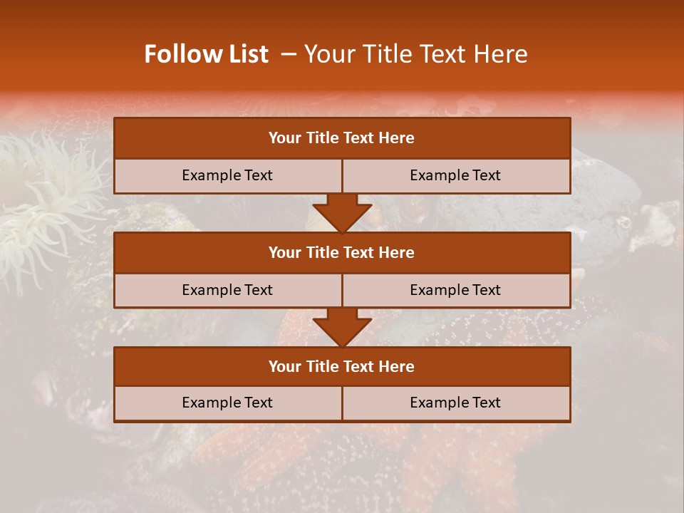 Couple Walking On Beach Arm In Arm Smiling PowerPoint Template